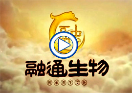 &#23436;&#32654;&#32593;&#39029;&#29256;&#30331;&#24405;&#20837;&#21475;&#45;&#23436;&#32654;&#65288;&#20013;&#22269;&#65289;&#45;&#23436;&#32654;&#65288;&#20013;&#22269;&#65289;